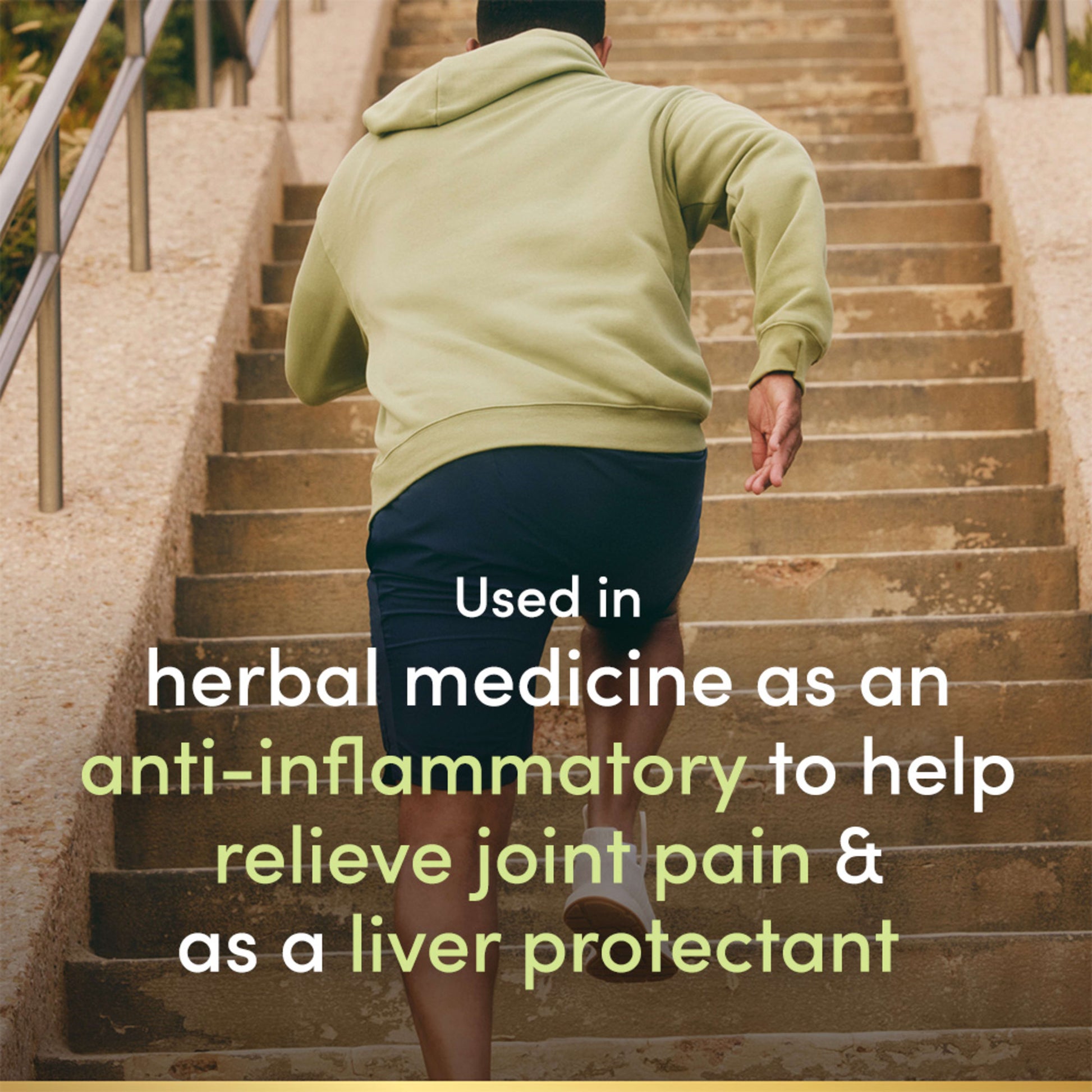 Turmeric Curcumin Plus Black Pepper, 1000 mg||EN