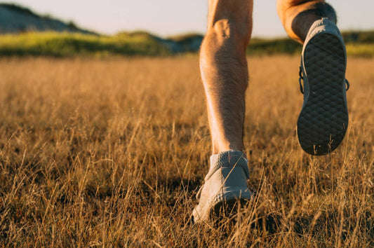 Support Year-Round Health with Wellness Tips for Every Season