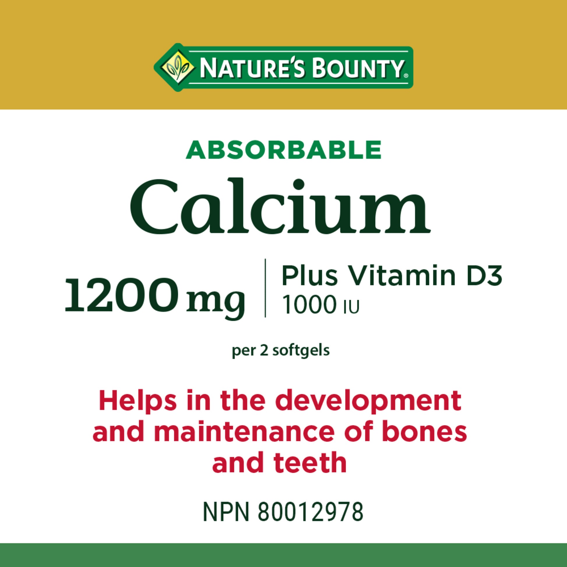 Calcium Plus Vitamin D3, Absorbable, 1200 mg||EN