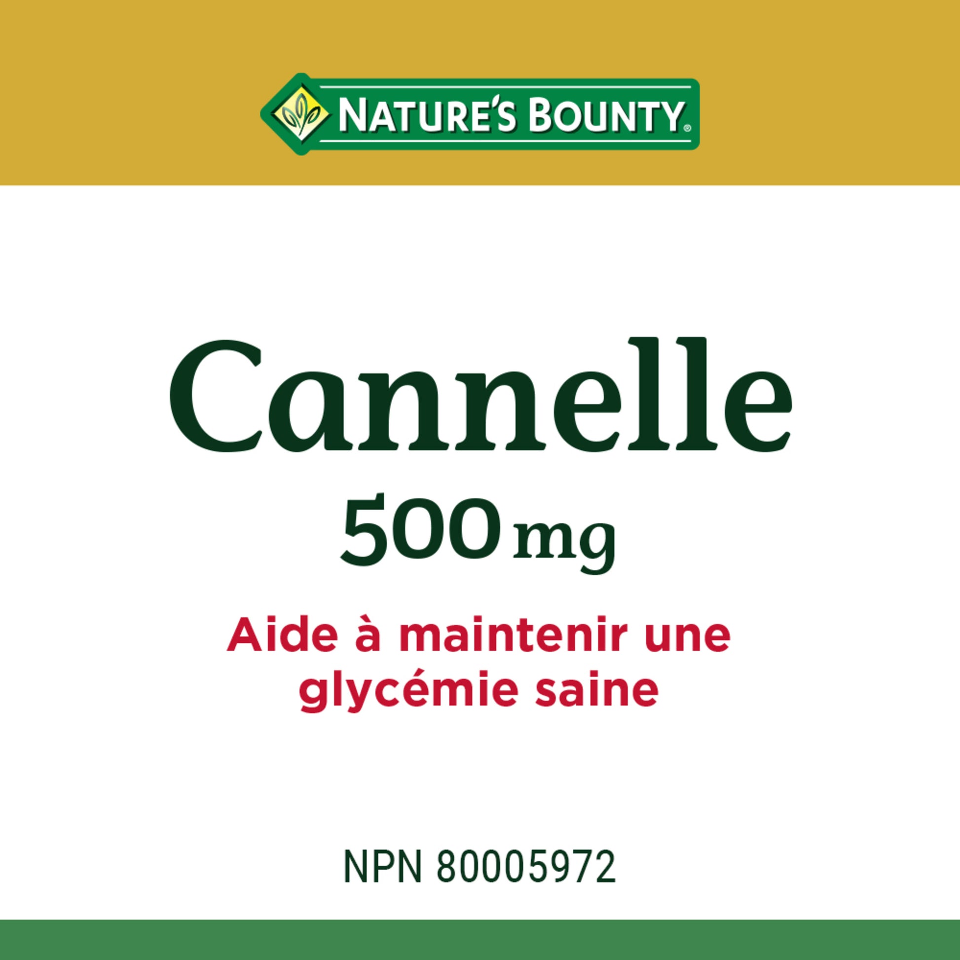 Cinnamon, 500 mg, For Healthy Blood Sugar Levels