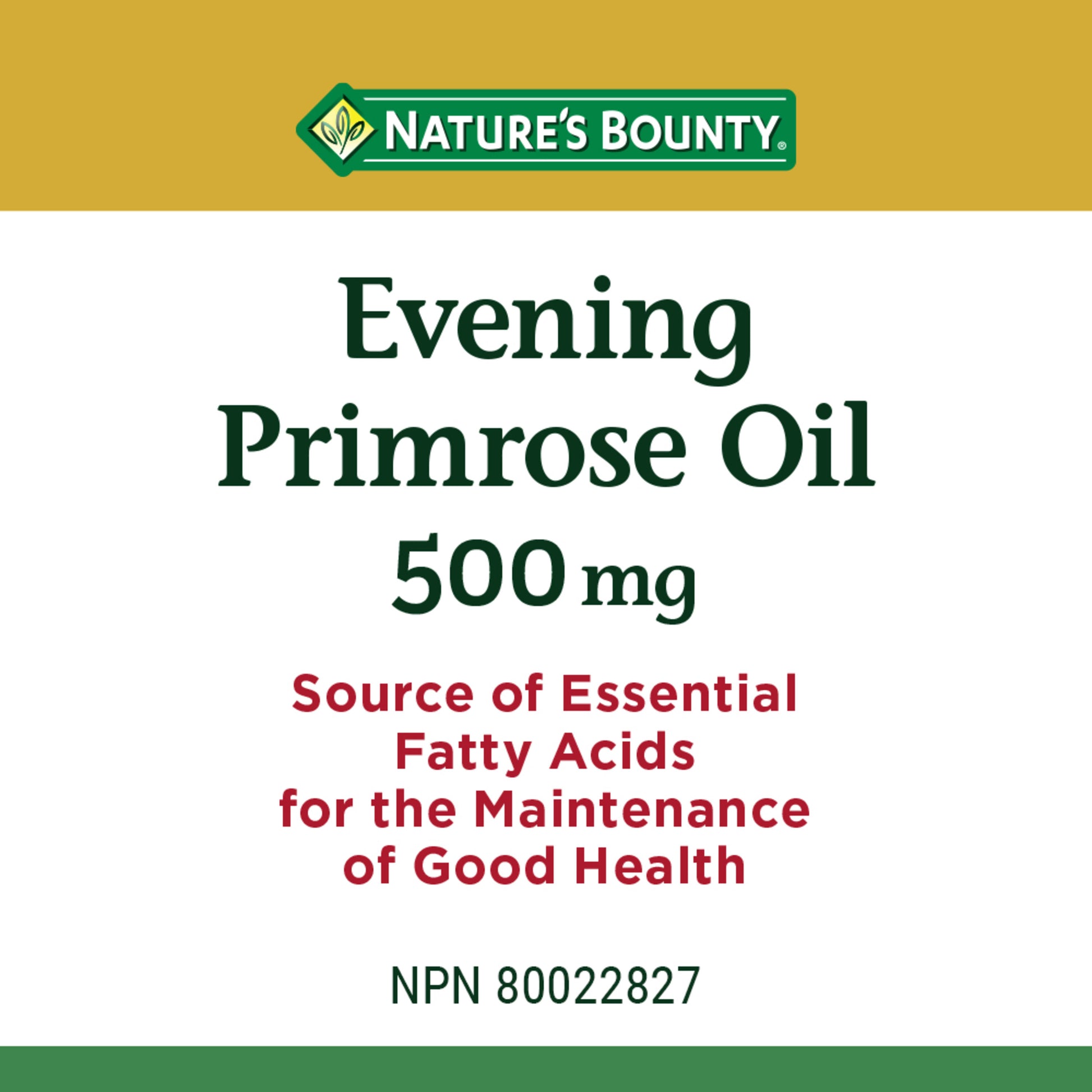 Evening Primrose Oil, Source Of Essential Fatty Acids