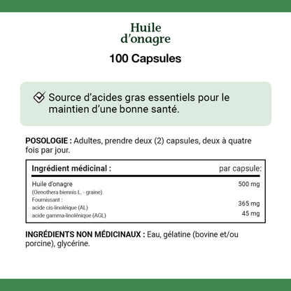 Evening Primrose Oil, Source Of Essential Fatty Acids