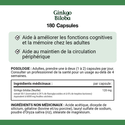 Gingko Biloba, 120 mg, Value Size, 180 Capsules