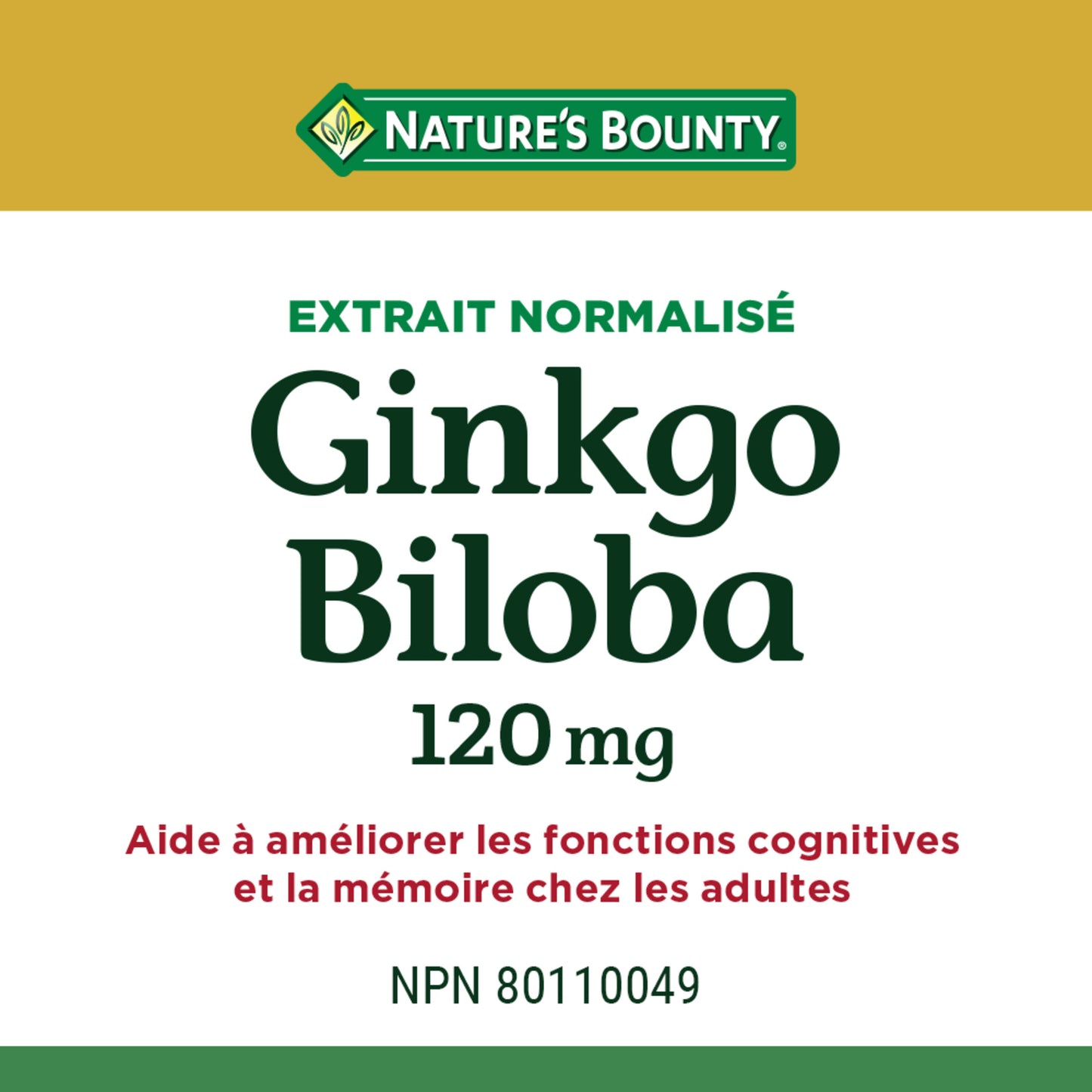 Ginkgo Biloba, For Cognitive Function & Memory