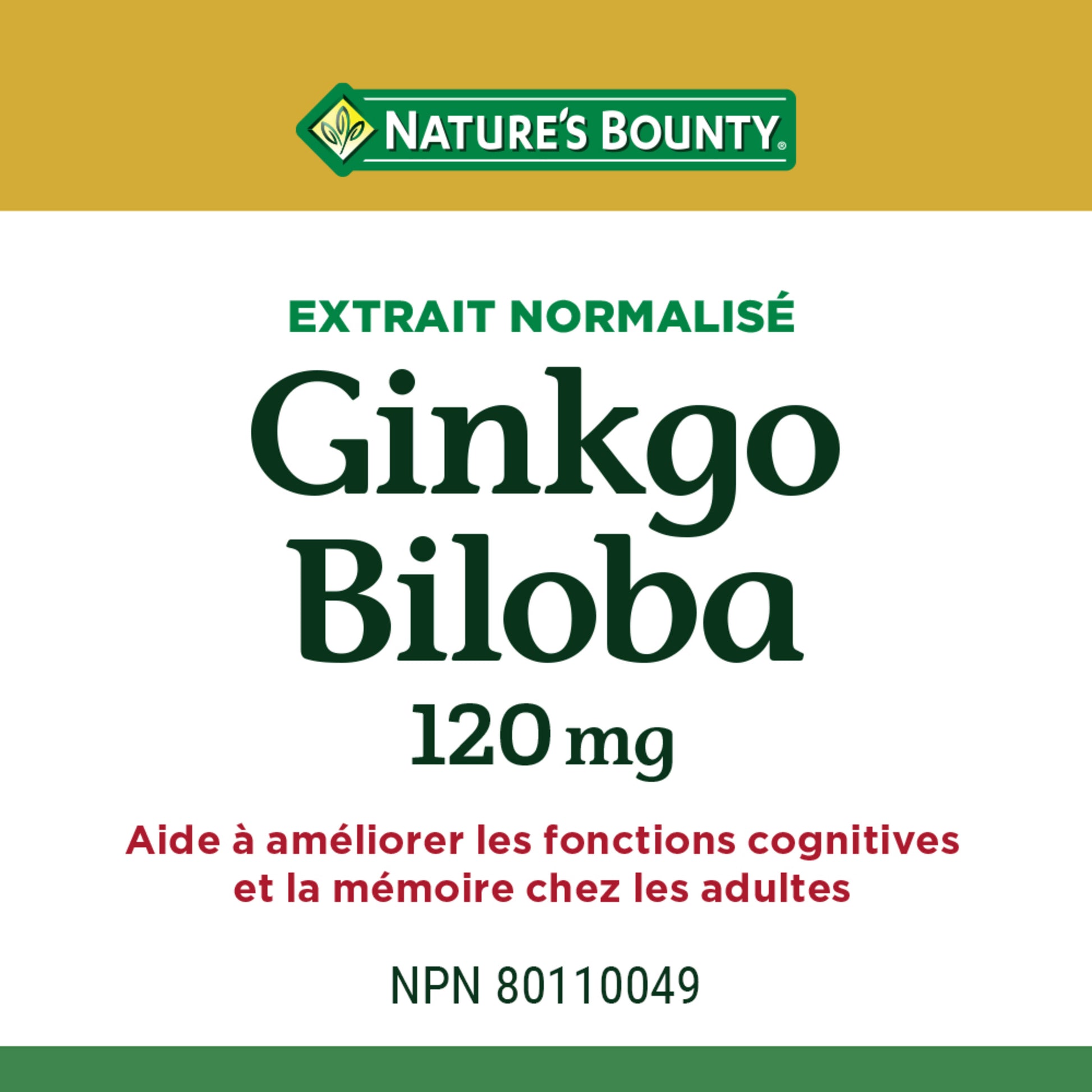 Ginkgo Biloba, For Cognitive Function & Memory