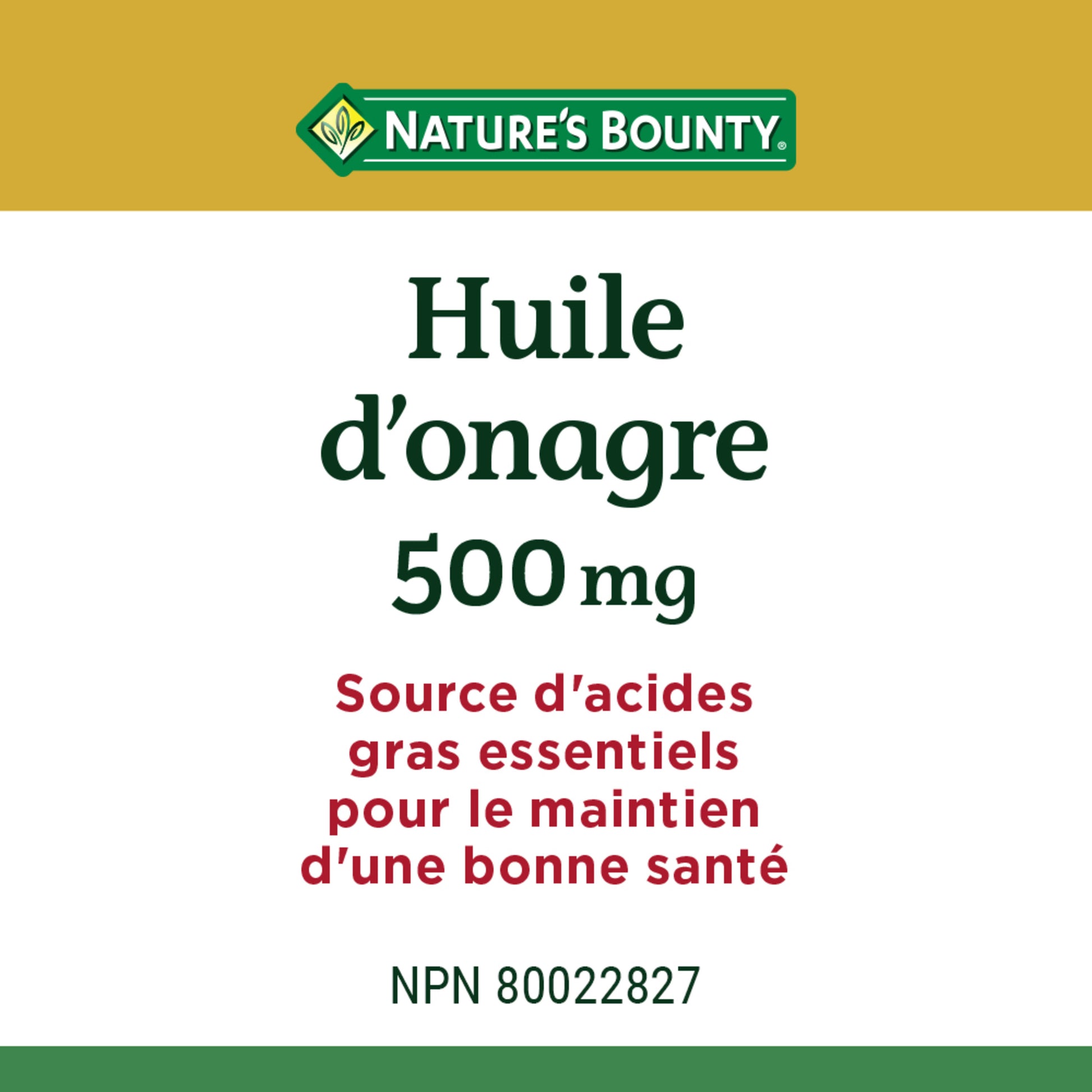 Huile d’onagre, source d’acides gras essentiels||FR