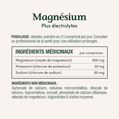 Magnésium plus électrolytes, 500 mg, comprimés||FR